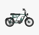 Urban Spruce Green