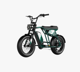 Urban Spruce Green