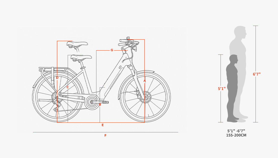 Discover 3 geometry Regular