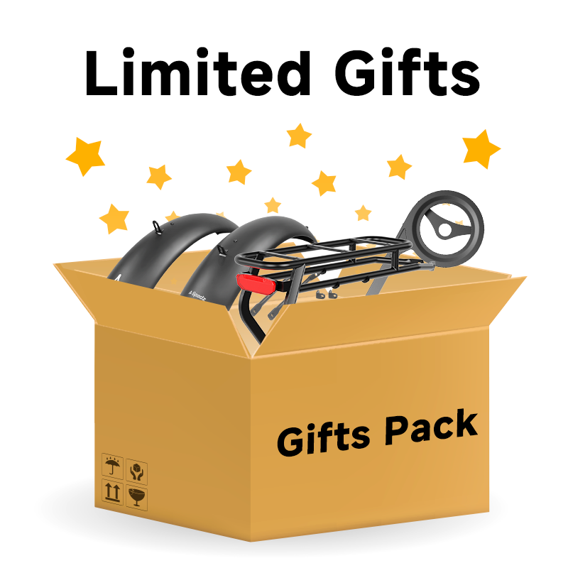Coffret cadeau (comprend : porte-bagages arrière, garde-boue et protège-chaîne ! ) 